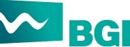 Baltic Group International Logo